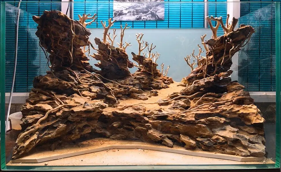 How to make nature aquarium - IAPLC 2020 Rank 228 - Into the Sky How to make nature aquarium - IAPLC 2020 Rank 228 - Into the Sky