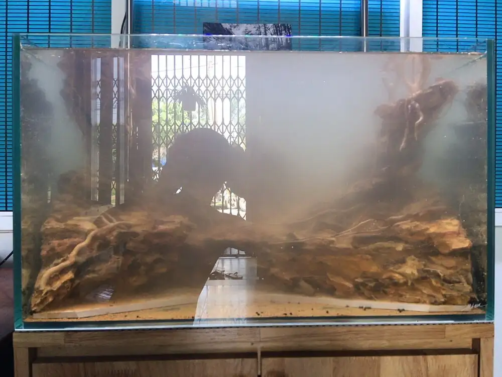 How to make nature aquarium - IAPLC 2020 Rank 228 - Into the Sky How to make nature aquarium - IAPLC 2020 Rank 228 - Into the Sky