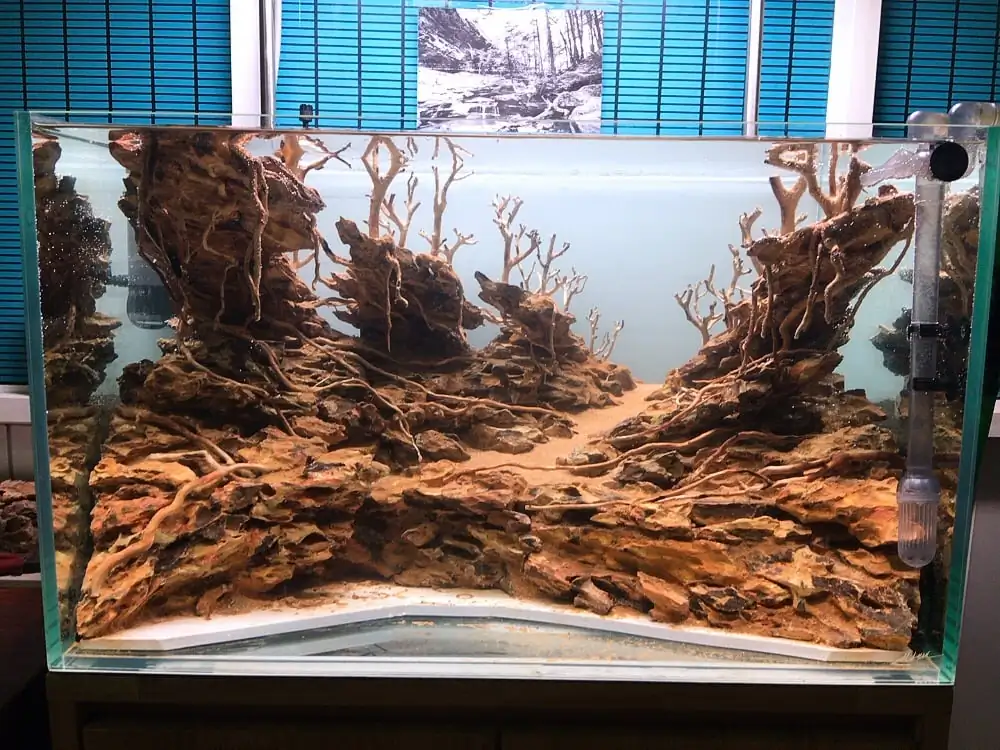 How to make nature aquarium - IAPLC 2020 Rank 228 - Into the Sky How to make nature aquarium - IAPLC 2020 Rank 228 - Into the Sky