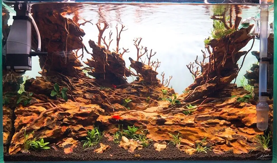 How to make nature aquarium - IAPLC 2020 Rank 228 - Into the Sky How to make nature aquarium - IAPLC 2020 Rank 228 - Into the Sky