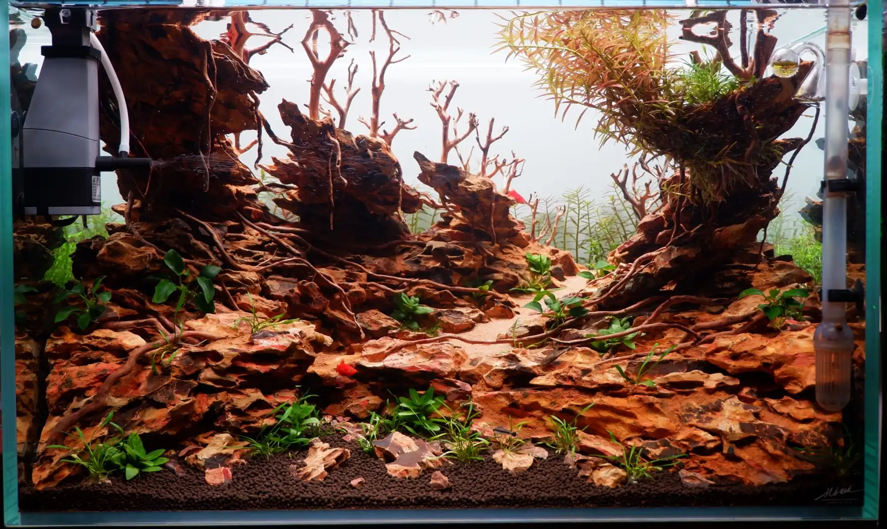 How to make nature aquarium - IAPLC 2020 Rank 228 - Into the Sky How to make nature aquarium - IAPLC 2020 Rank 228 - Into the Sky