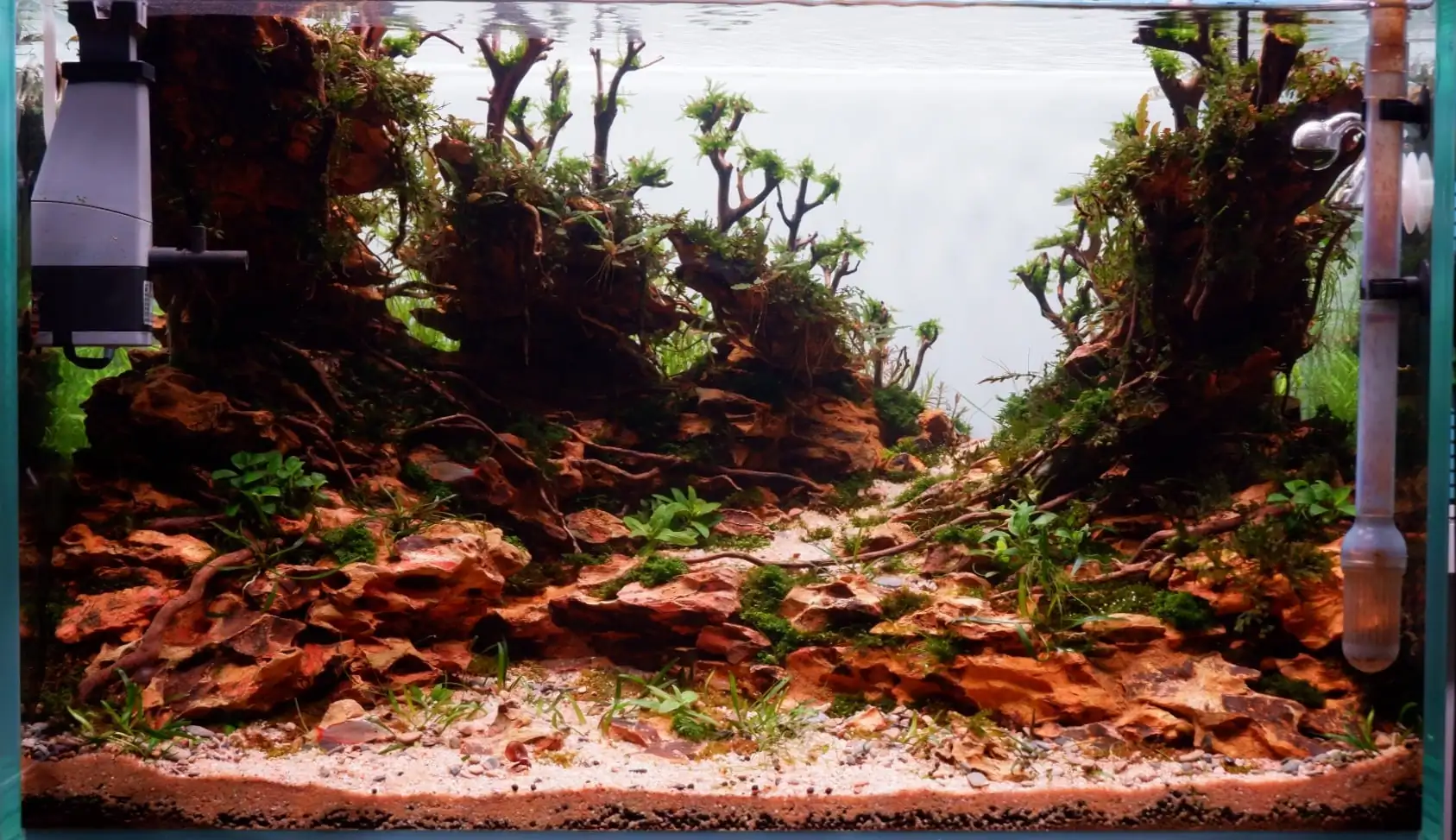 How to make nature aquarium - IAPLC 2020 Rank 228 - Into the Sky How to make nature aquarium - IAPLC 2020 Rank 228 - Into the Sky