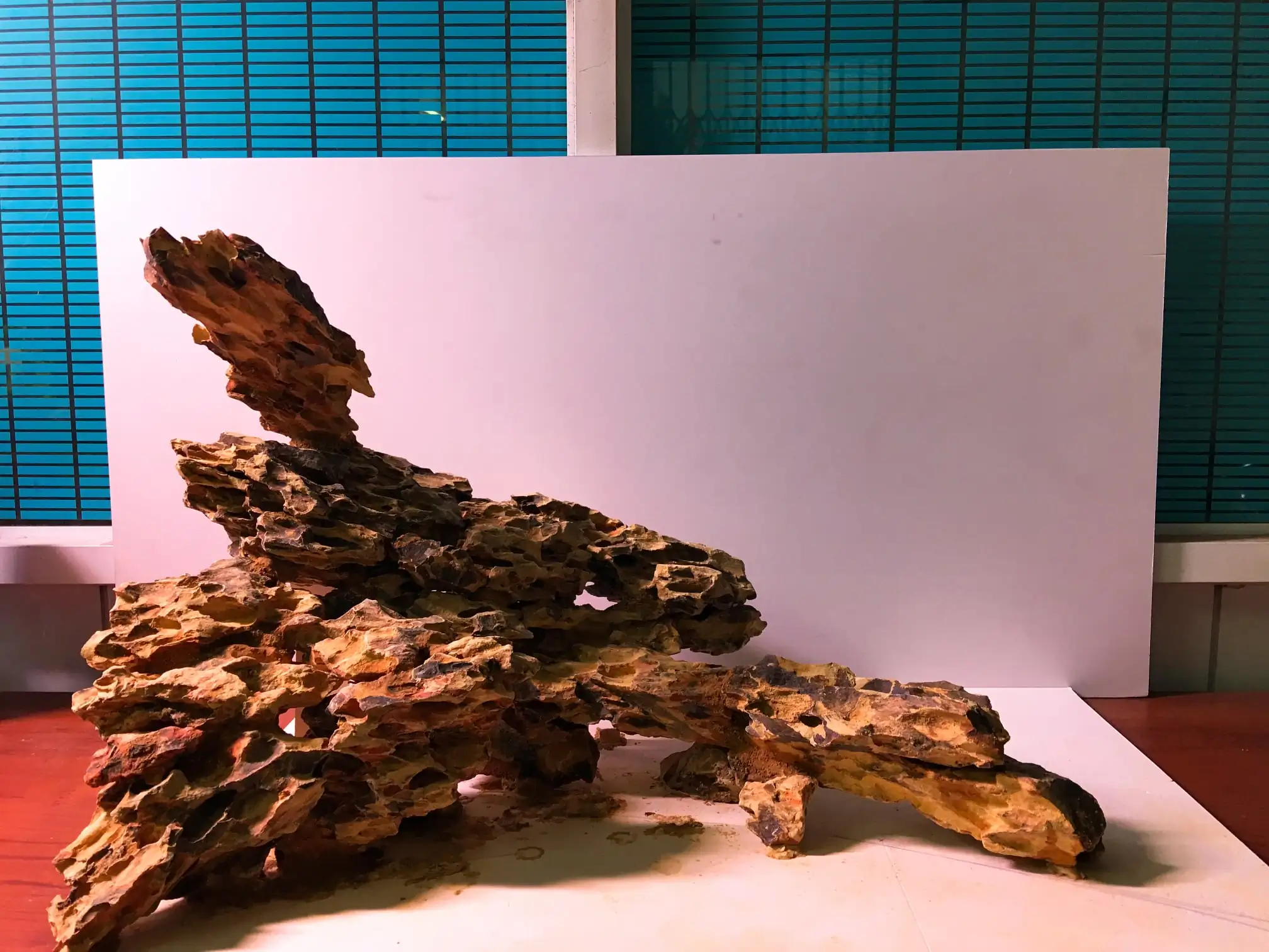 How to make nature aquarium - IAPLC 2020 Rank 228 - Into the Sky How to make nature aquarium - IAPLC 2020 Rank 228 - Into the Sky