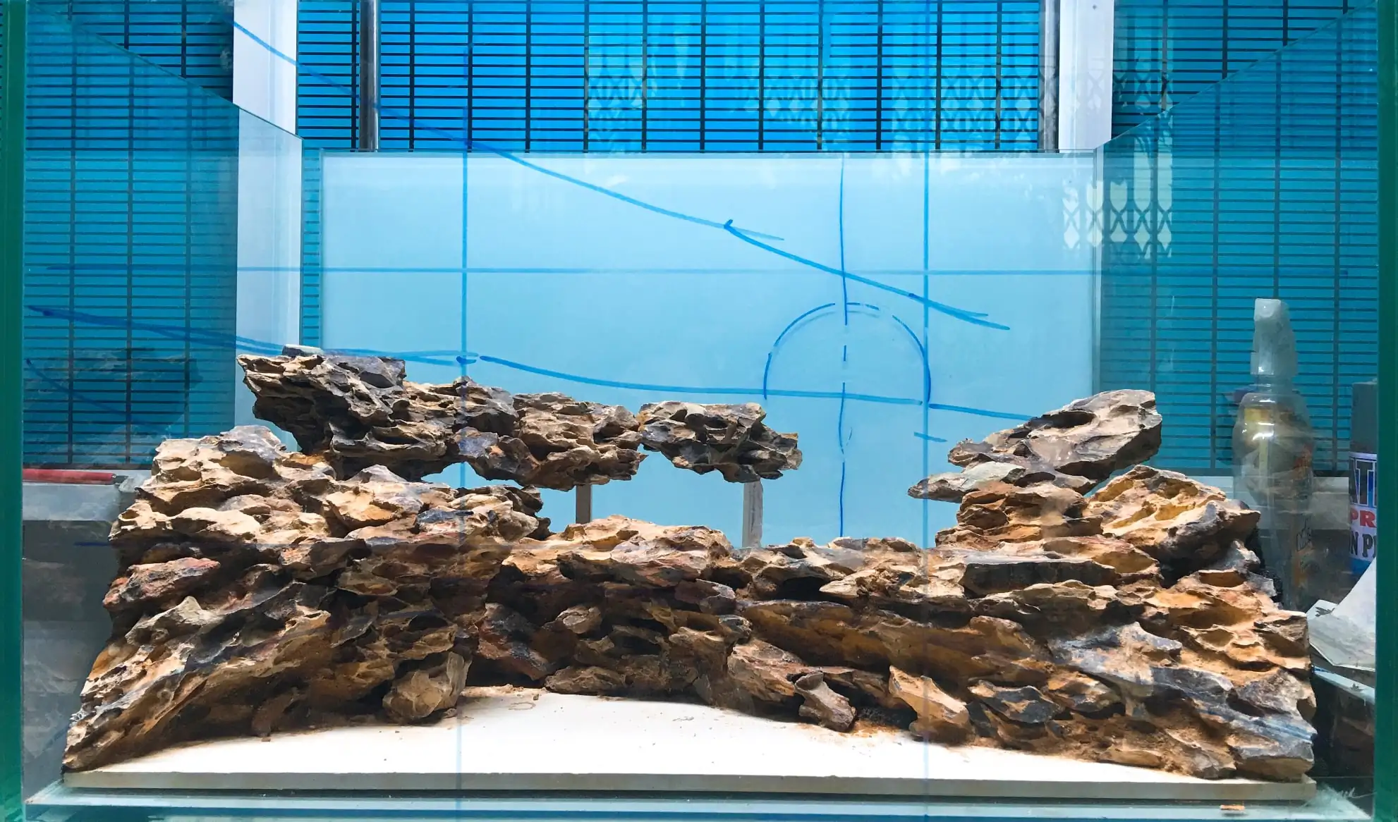 How to make nature aquarium - IAPLC 2020 Rank 228 - Into the Sky How to make nature aquarium - IAPLC 2020 Rank 228 - Into the Sky