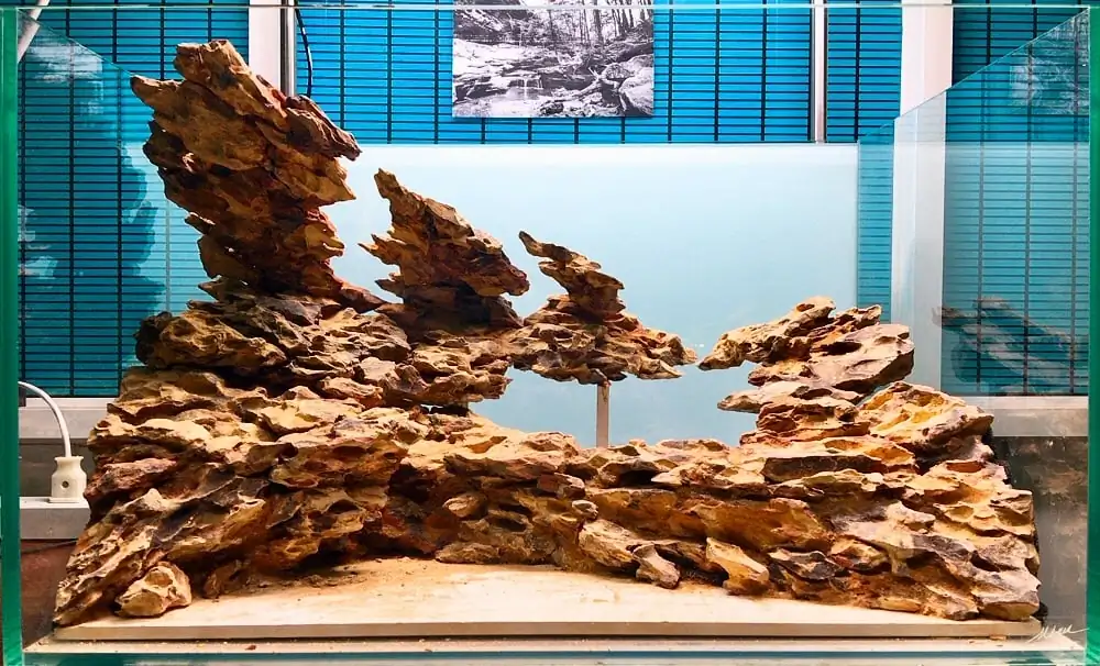 How to make nature aquarium - IAPLC 2020 Rank 228 - Into the Sky How to make nature aquarium - IAPLC 2020 Rank 228 - Into the Sky