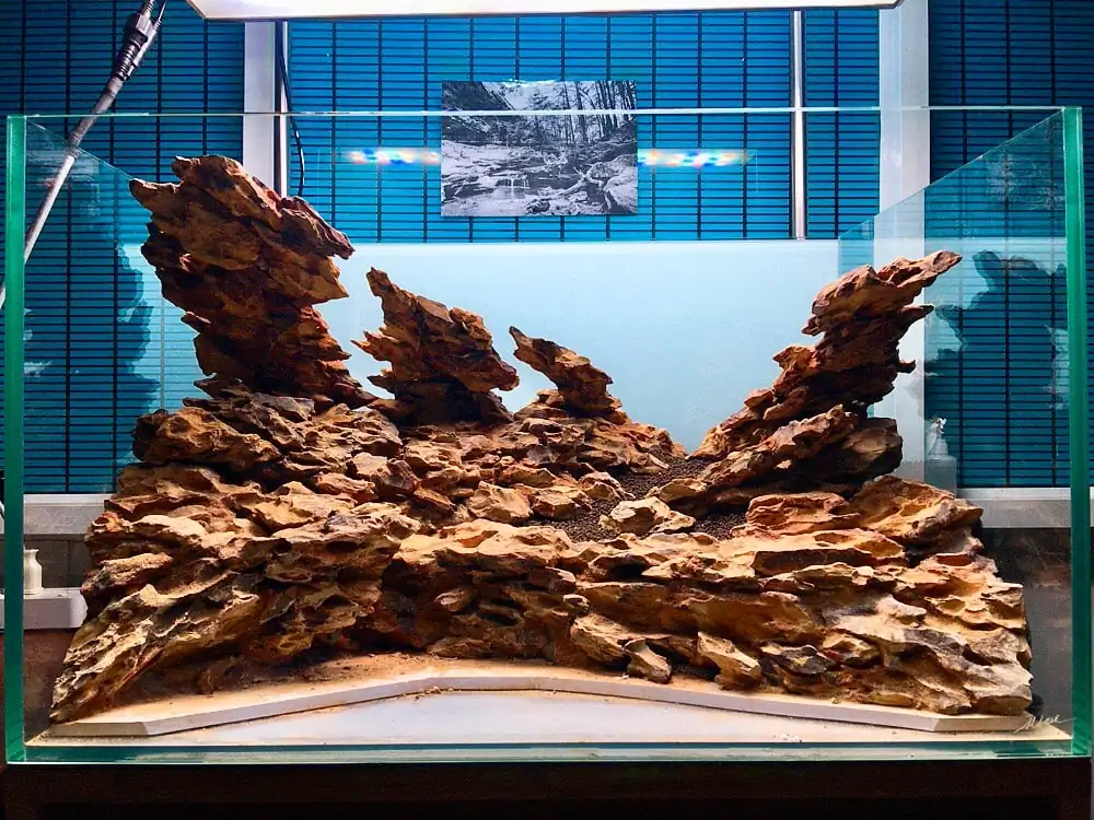 How to make nature aquarium - IAPLC 2020 Rank 228 - Into the Sky How to make nature aquarium - IAPLC 2020 Rank 228 - Into the Sky