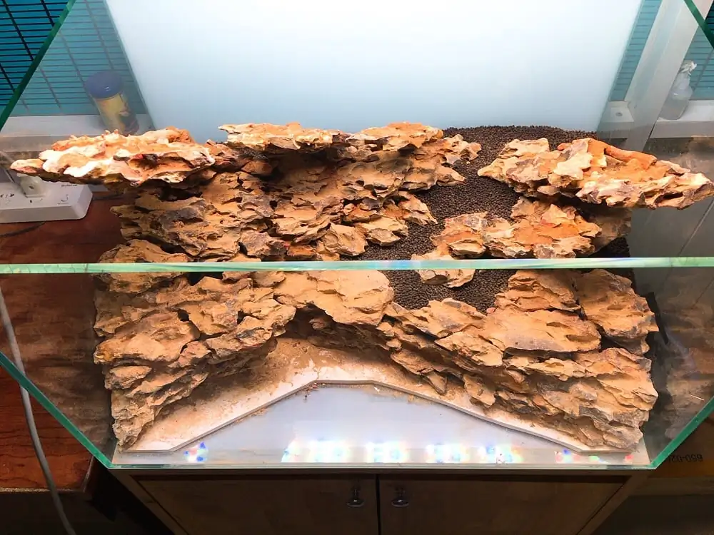 How to make nature aquarium - IAPLC 2020 Rank 228 - Into the Sky How to make nature aquarium - IAPLC 2020 Rank 228 - Into the Sky