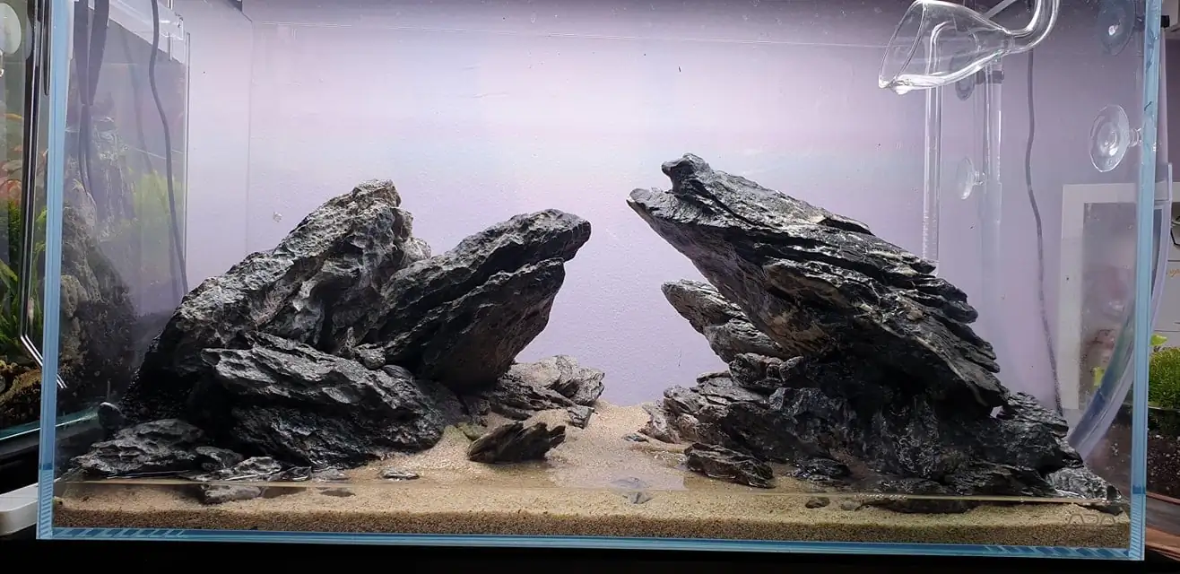 How to make nature aquarium - IAPLC 2020 Rank 289 - The Arising