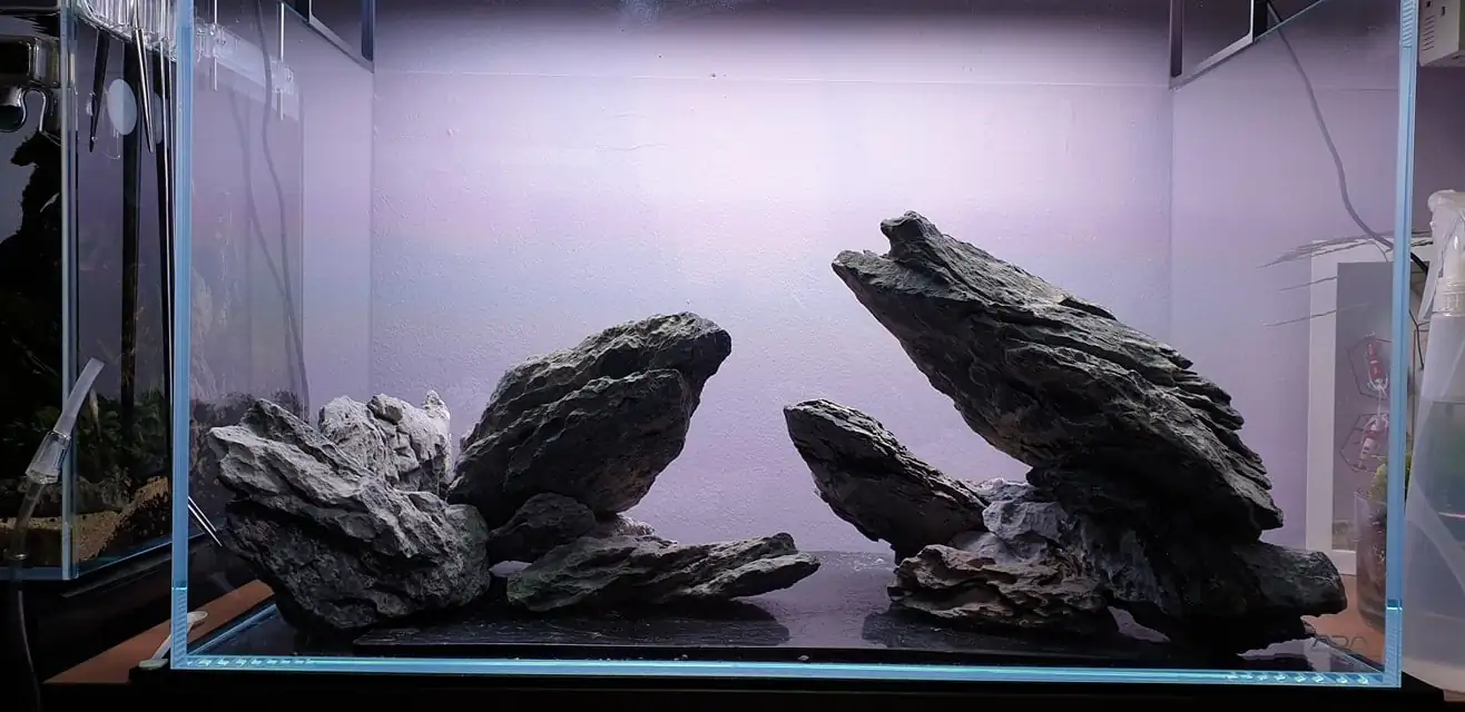 How to make nature aquarium - IAPLC 2020 Rank 289 - The Arising