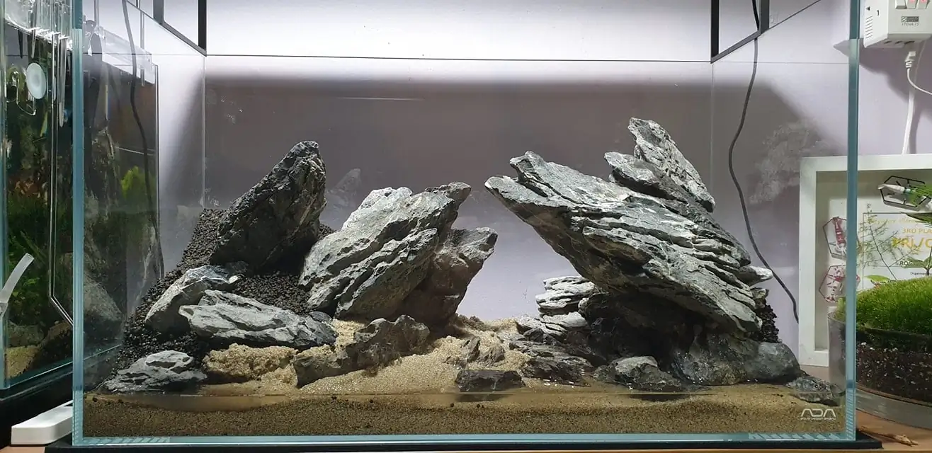 How to make nature aquarium - IAPLC 2020 Rank 289 - The Arising