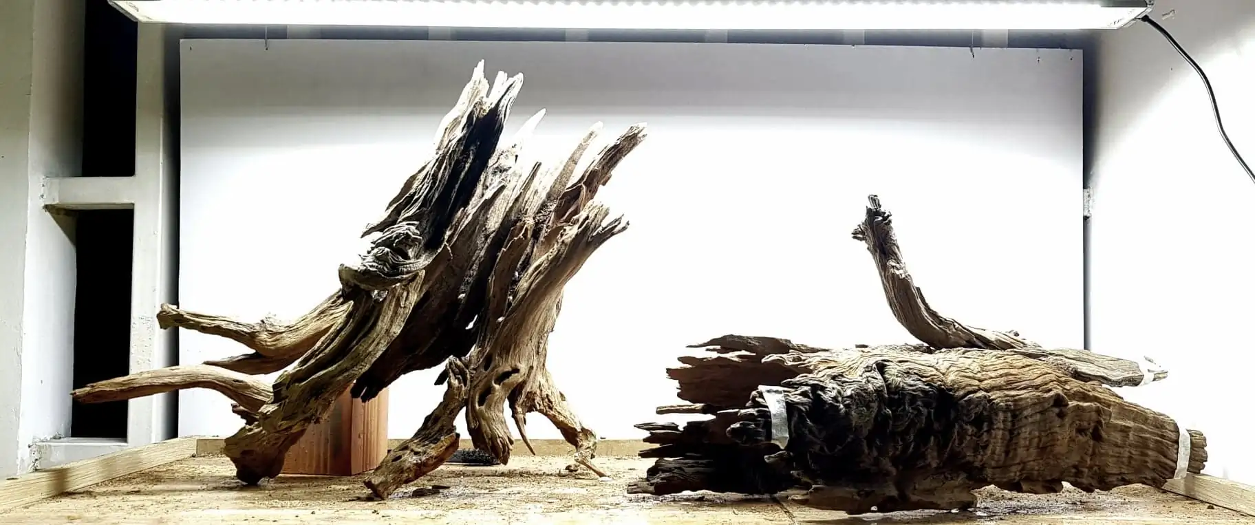 How to make nature aquarium - IAPLC 2020 Rank 351 - The eternal breath