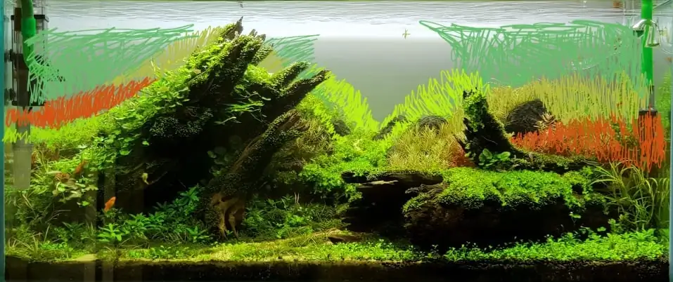 How to make nature aquarium - IAPLC 2020 Rank 351 - The eternal breath