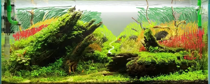 How to make nature aquarium - IAPLC 2020 Rank 351 - The eternal breath