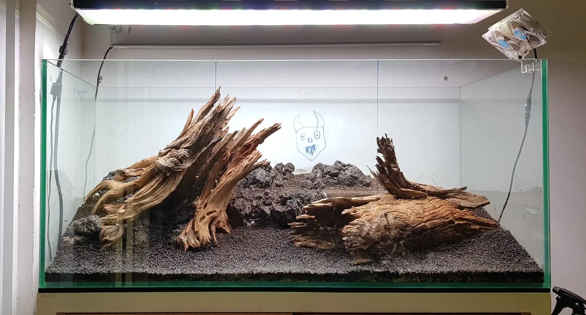 How to make nature aquarium - IAPLC 2020 Rank 351 - The eternal breath