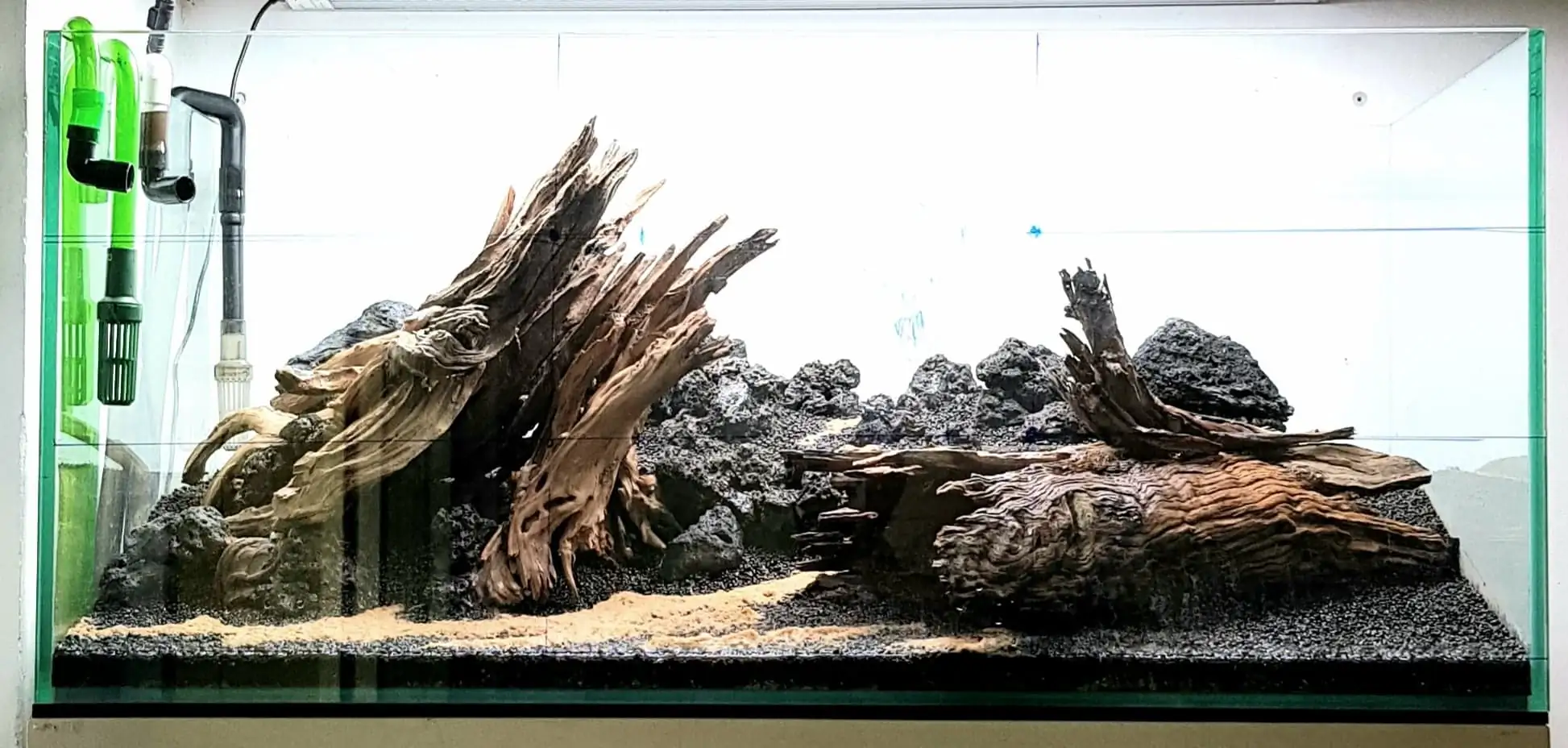 How to make nature aquarium - IAPLC 2020 Rank 351 - The eternal breath