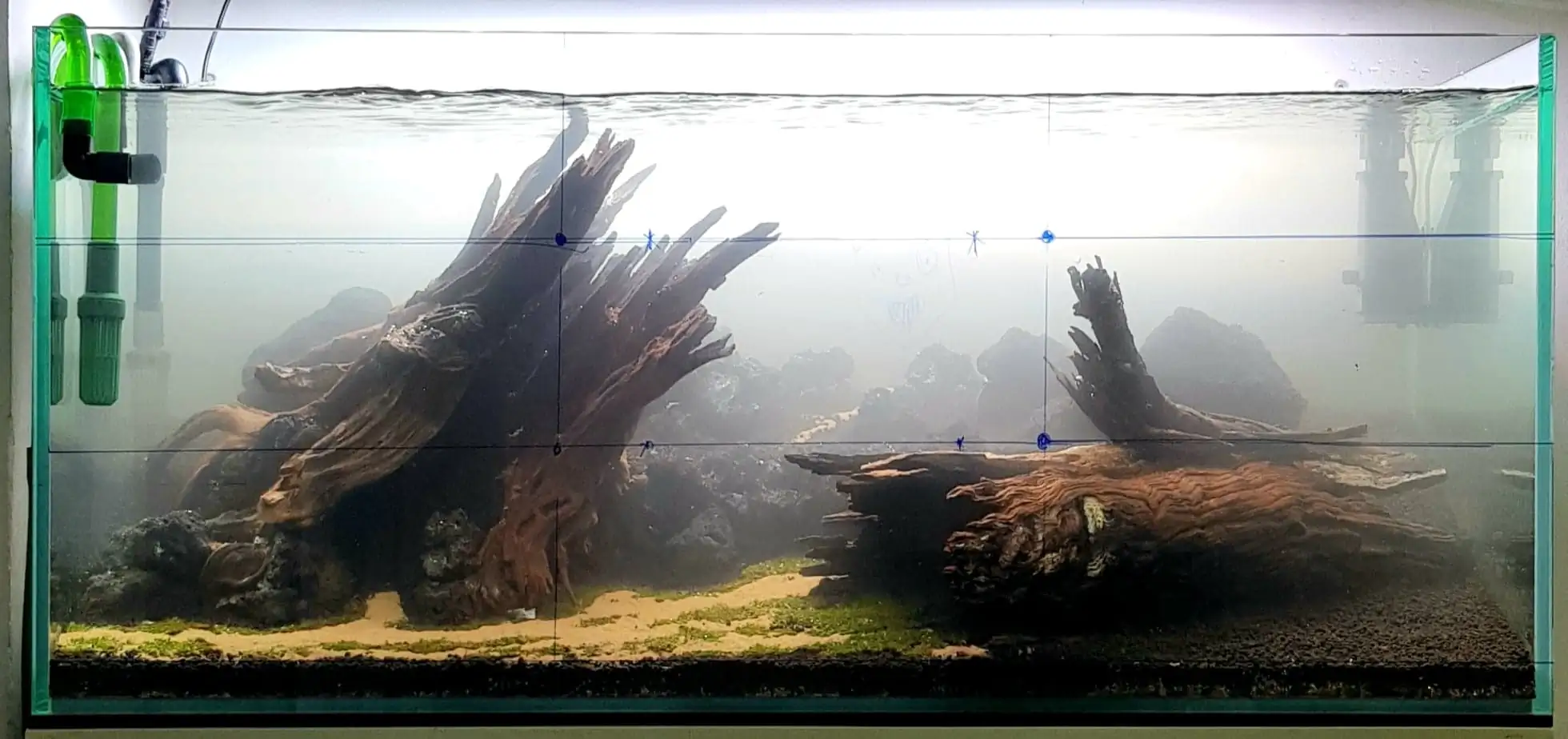 How to make nature aquarium - IAPLC 2020 Rank 351 - The eternal breath