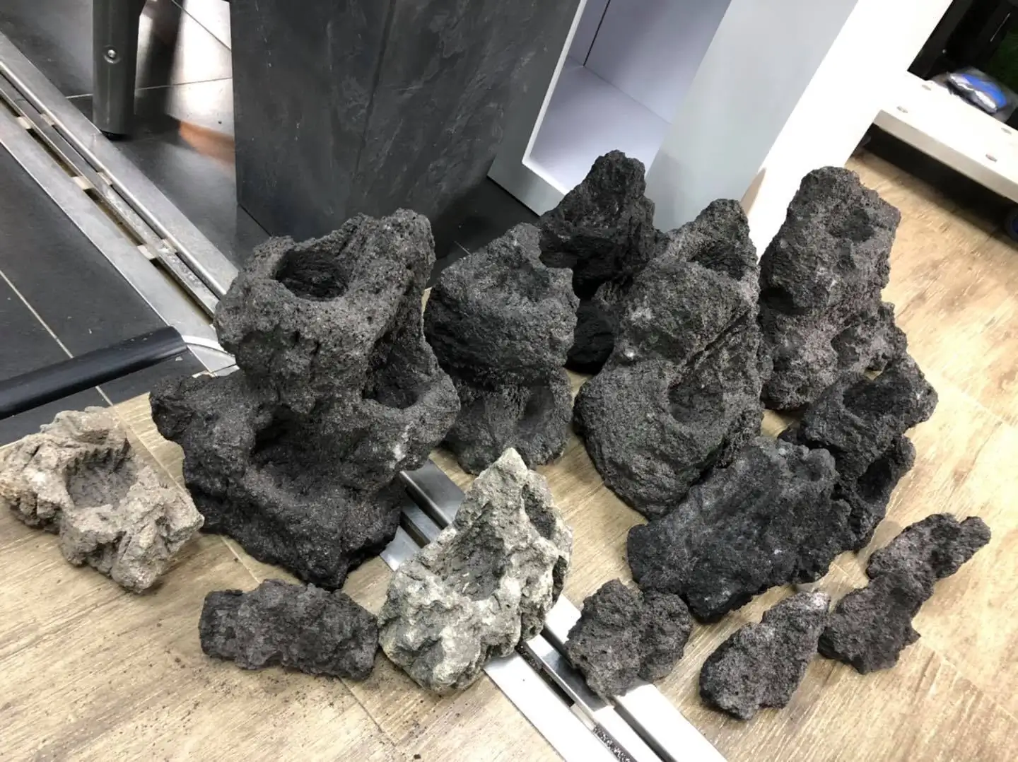 How to make a forest aquarium ranked 5th - IAPLC 2020 - Leading The New World