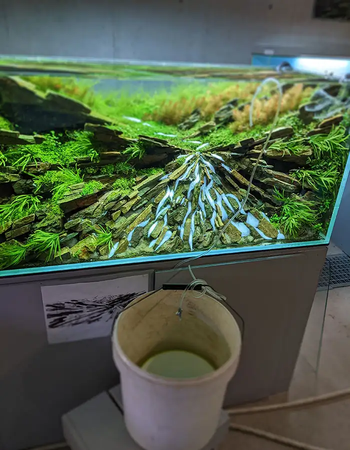 Steps progression IAPLC 2022 - Rank 21 - Green Valley - Katsuki Tanaka / Japan