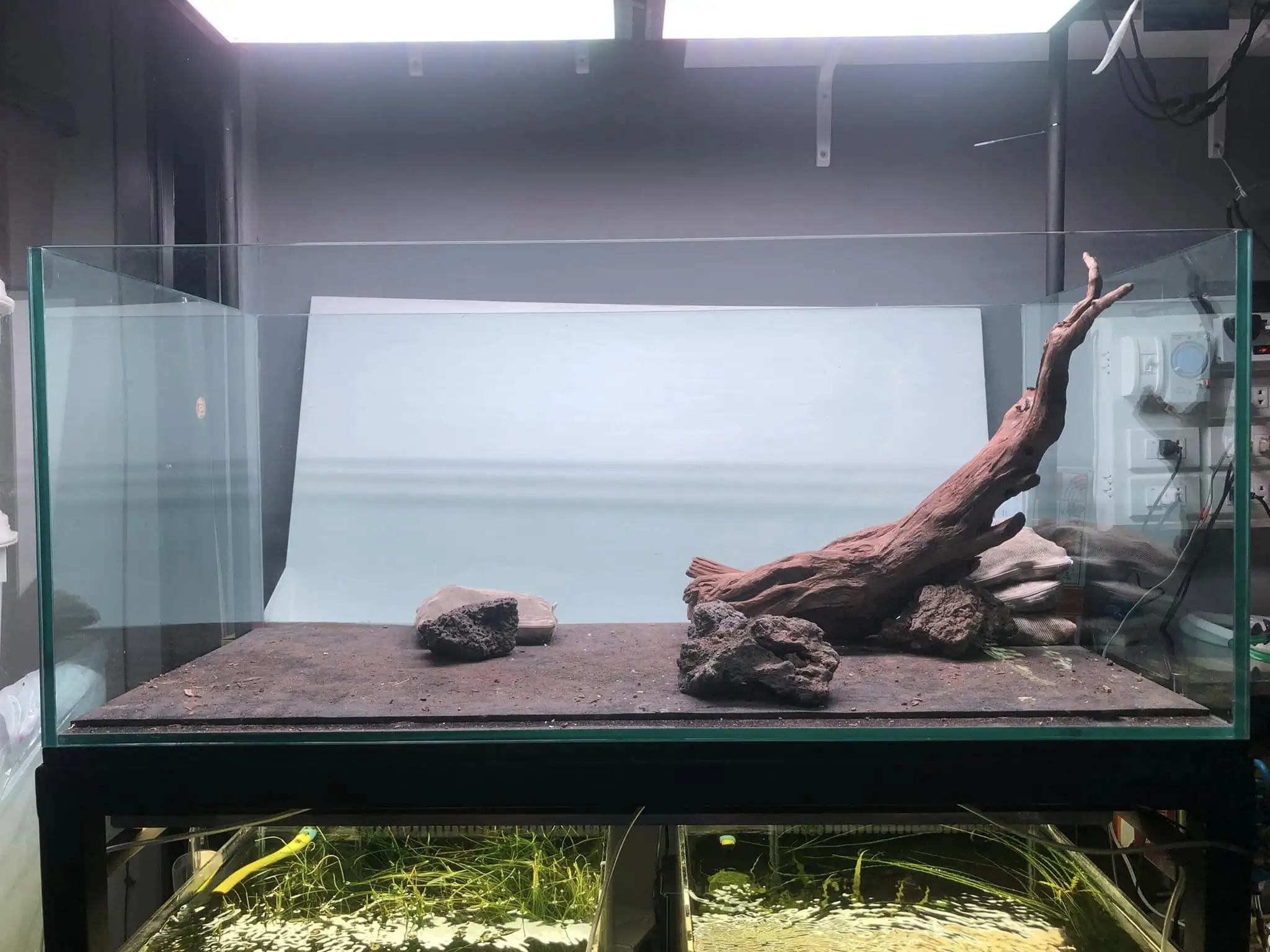 Steps progression IAPLC 2022 Rank 45 - Reverse - Eakthanat Isarathikul / Thailand