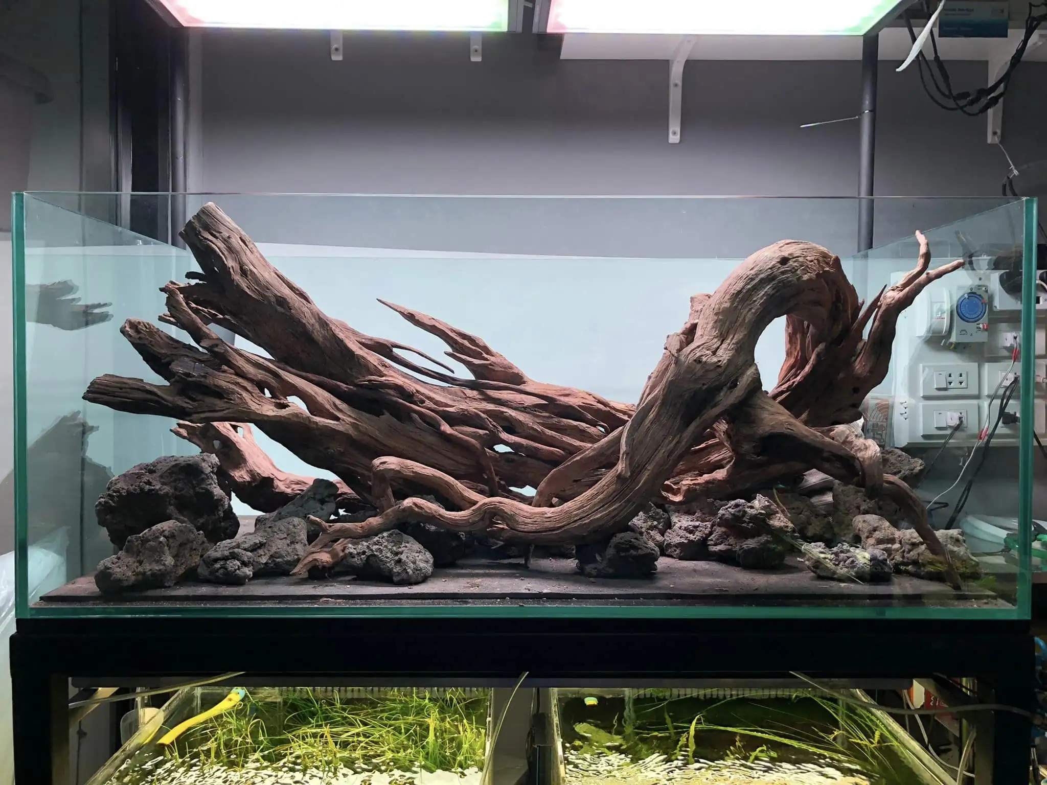 Steps progression IAPLC 2022 Rank 45 - Reverse - Eakthanat Isarathikul / Thailand