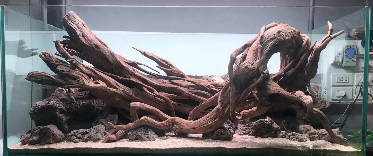 Steps progression IAPLC 2022 Rank 45 - Reverse - Eakthanat Isarathikul / Thailand