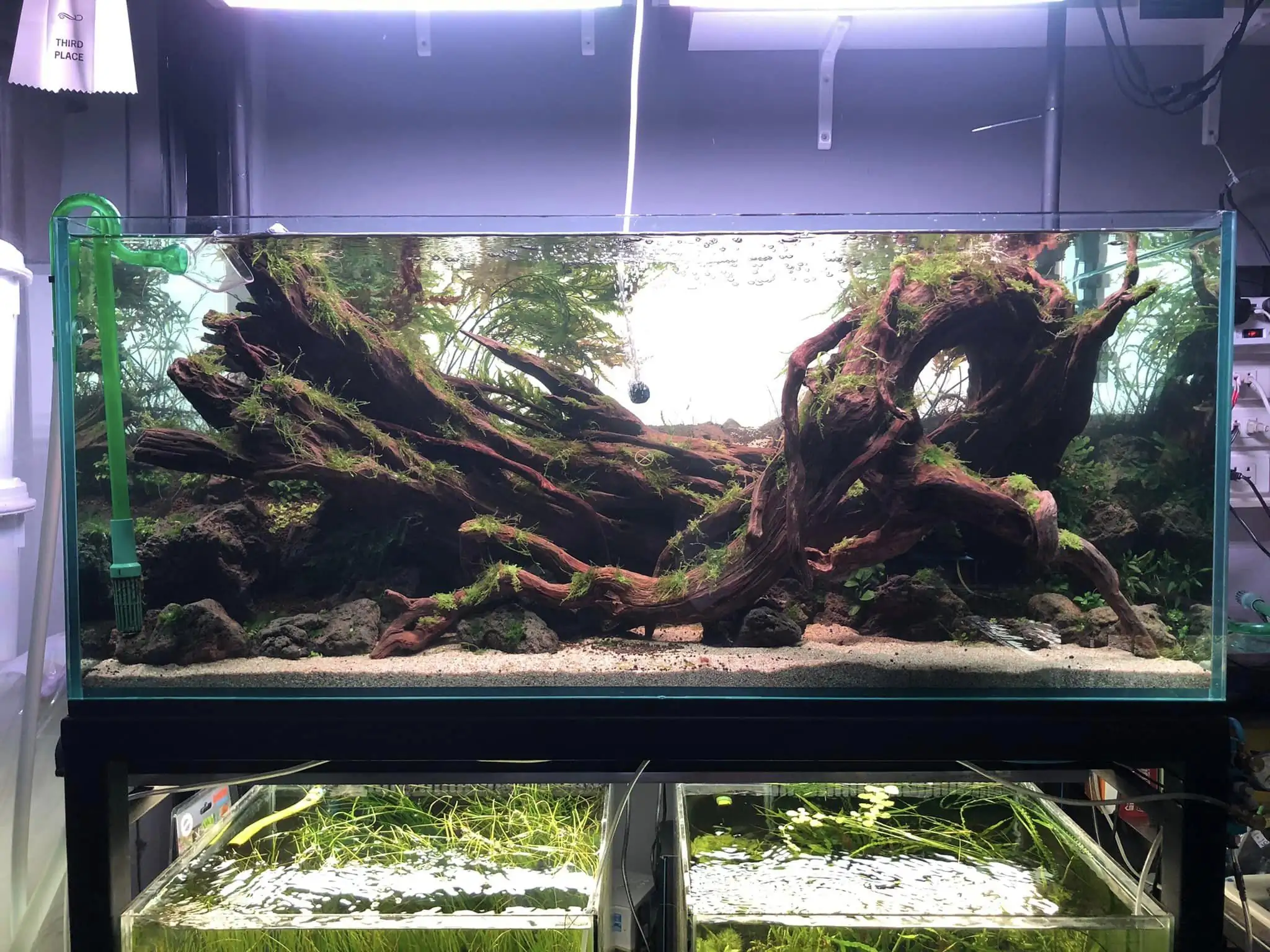 Steps progression IAPLC 2022 Rank 45 - Reverse - Eakthanat Isarathikul / Thailand