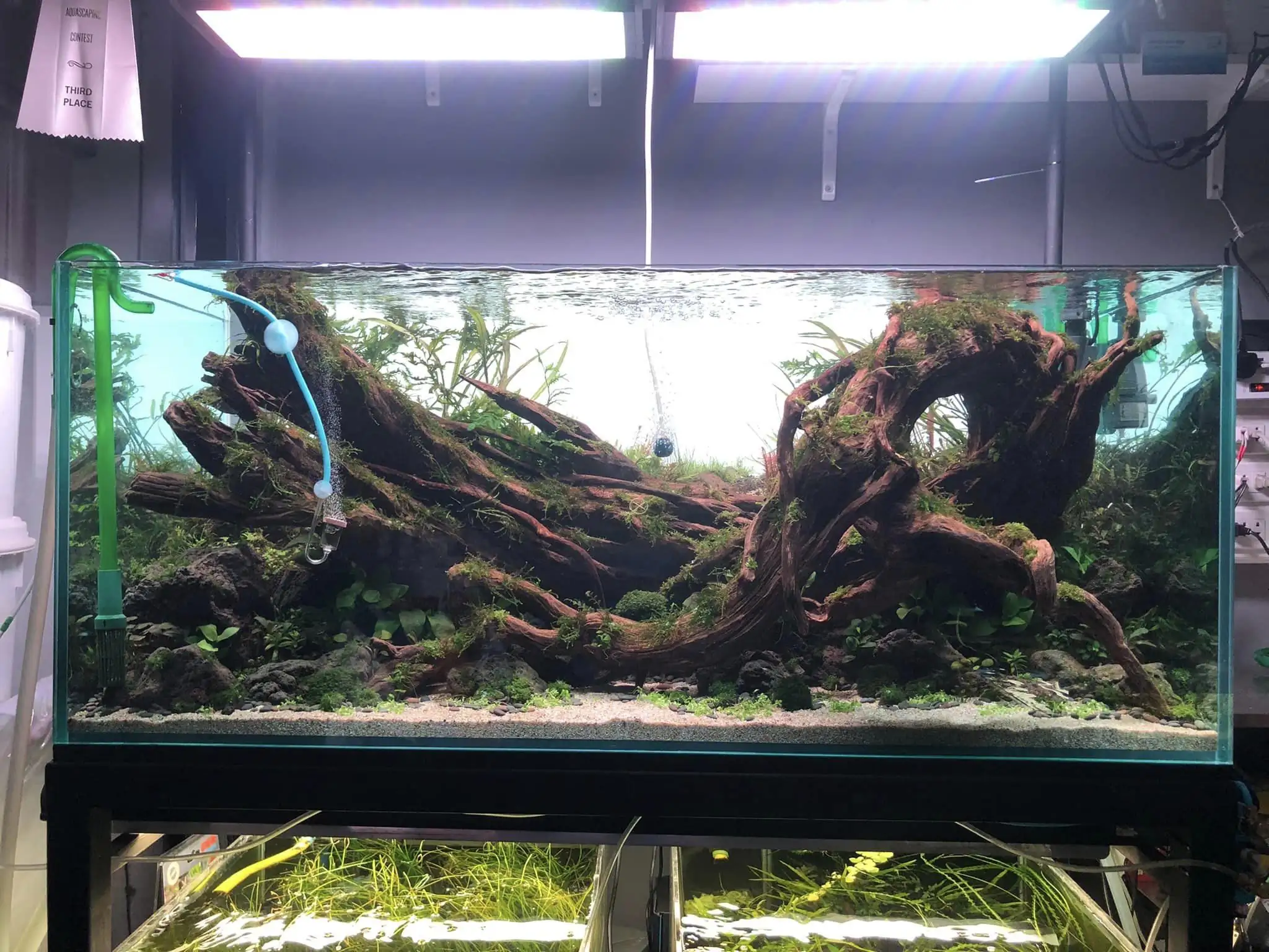 Steps progression IAPLC 2022 Rank 45 - Reverse - Eakthanat Isarathikul / Thailand