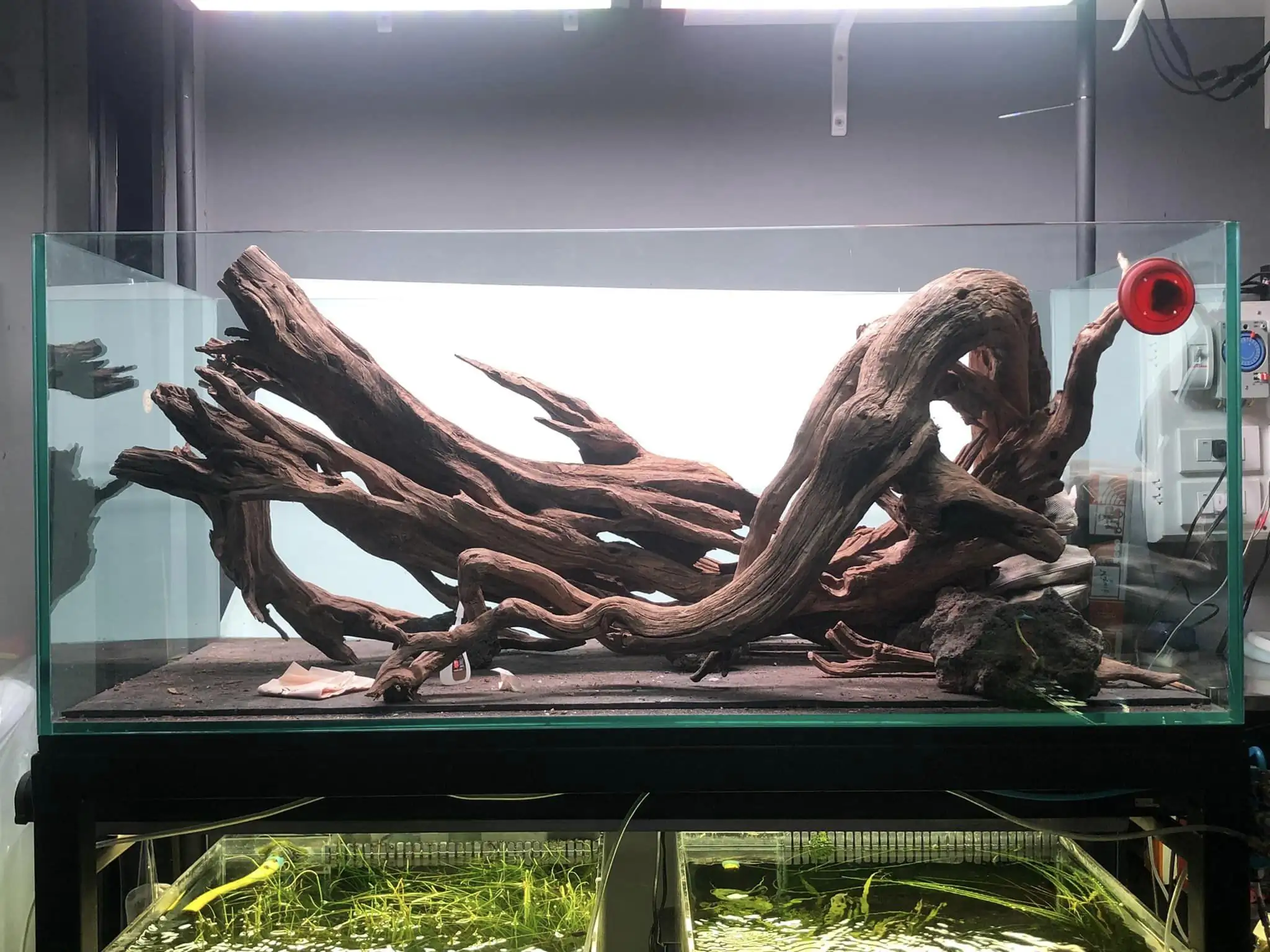 Steps progression IAPLC 2022 Rank 45 - Reverse - Eakthanat Isarathikul / Thailand