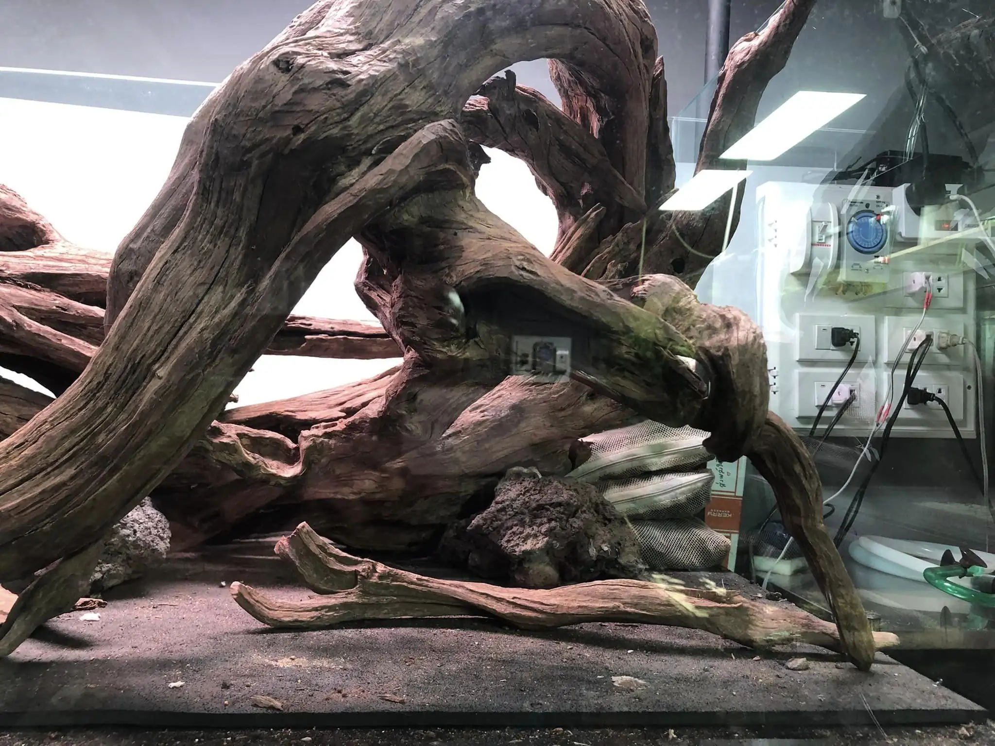 Steps progression IAPLC 2022 Rank 45 - Reverse - Eakthanat Isarathikul / Thailand