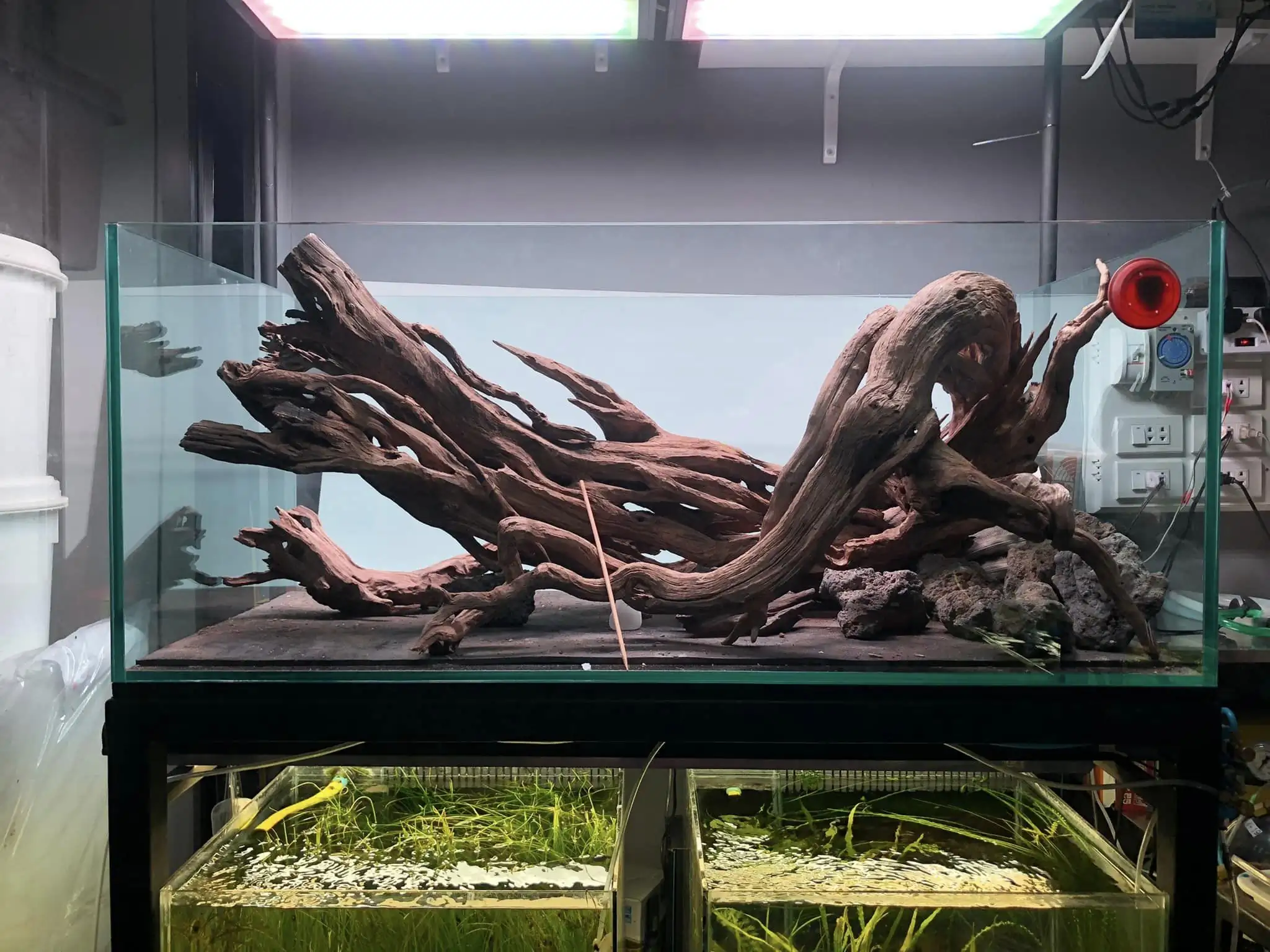 Steps progression IAPLC 2022 Rank 45 - Reverse - Eakthanat Isarathikul / Thailand