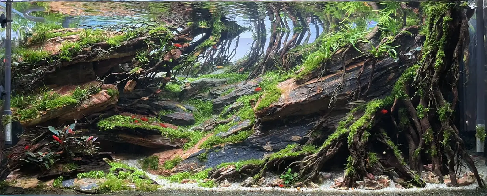 Steps progression IAPLC 2022 - RANK 07 - Wind and water - Trinh Ha Le / VietNam