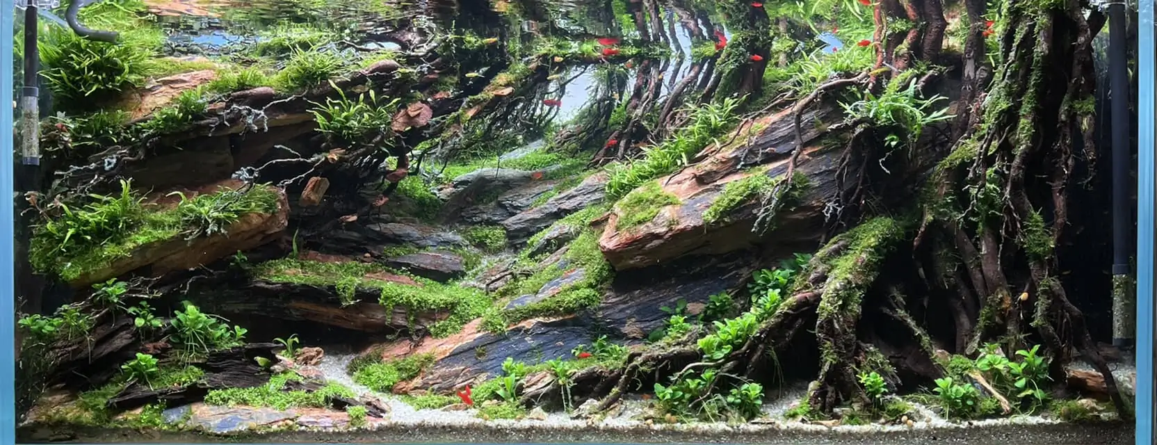 Steps progression IAPLC 2022 - RANK 07 - Wind and water - Trinh Ha Le / VietNam