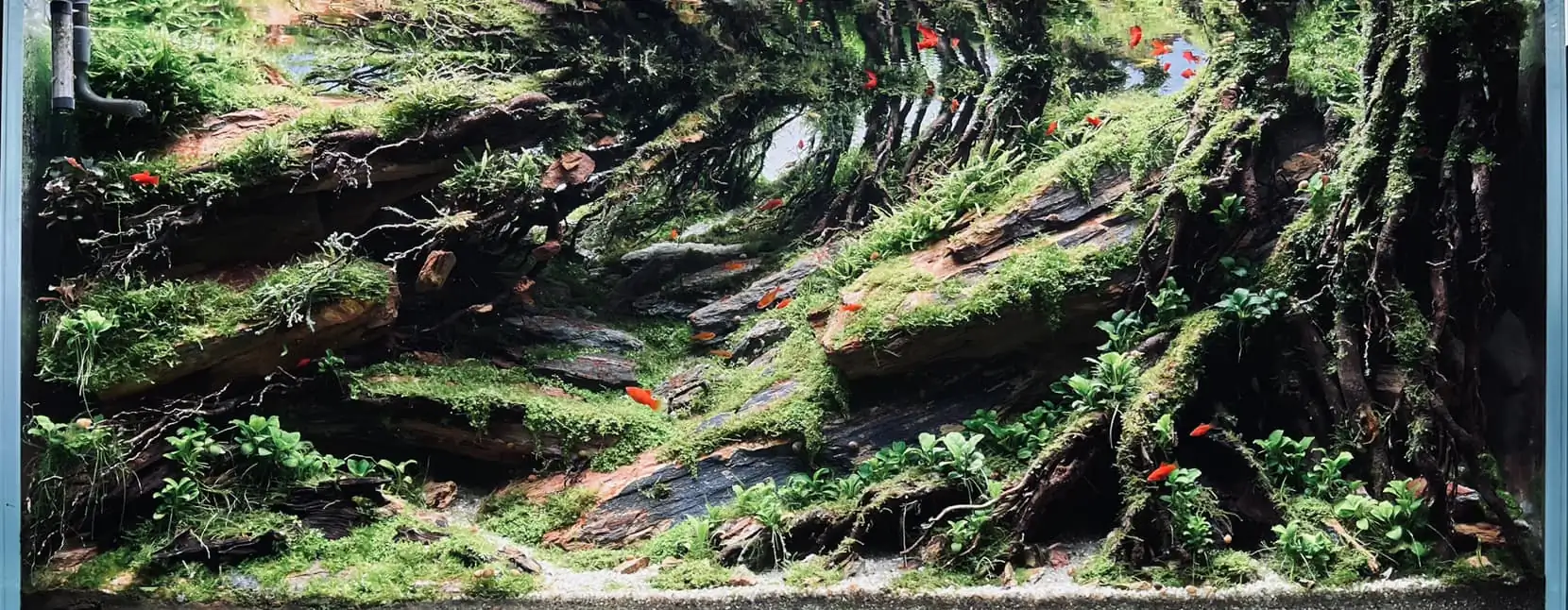 Steps progression IAPLC 2022 - RANK 07 - Wind and water - Trinh Ha Le / VietNam