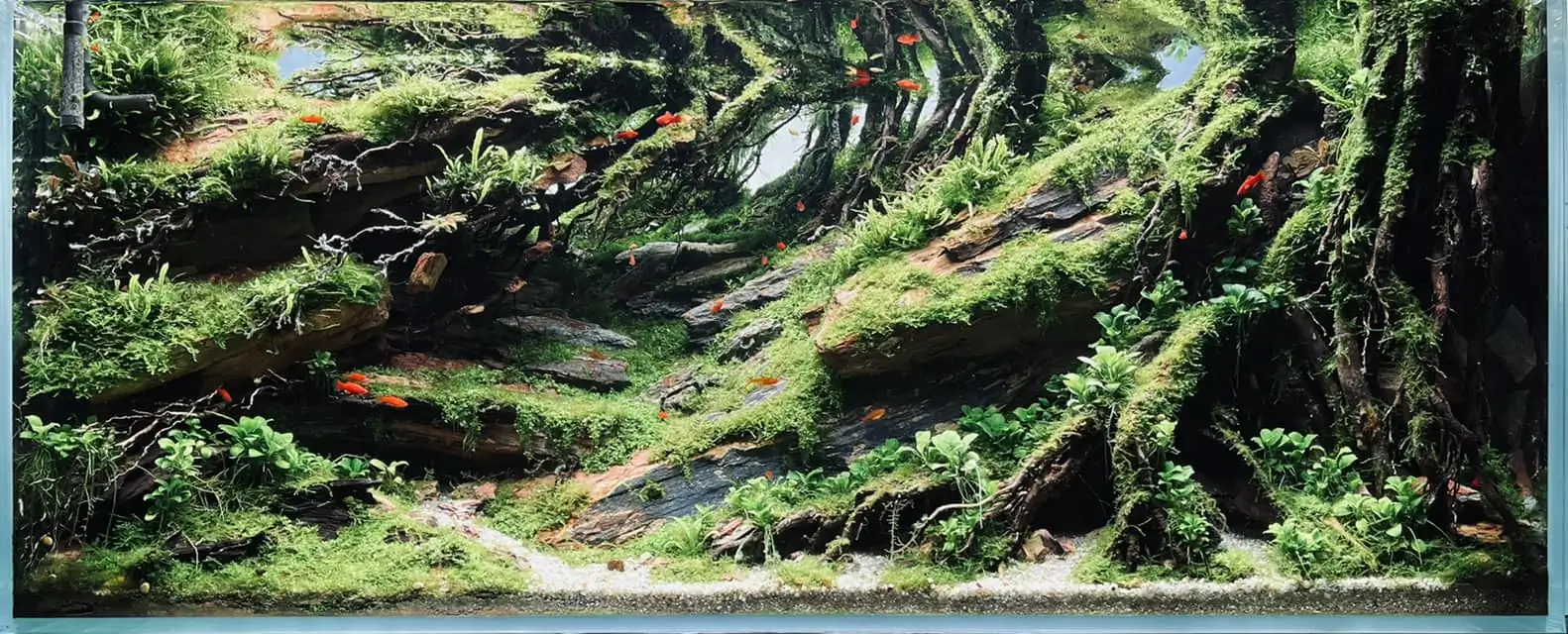 Steps progression IAPLC 2022 - RANK 07 - Wind and water - Trinh Ha Le / VietNam