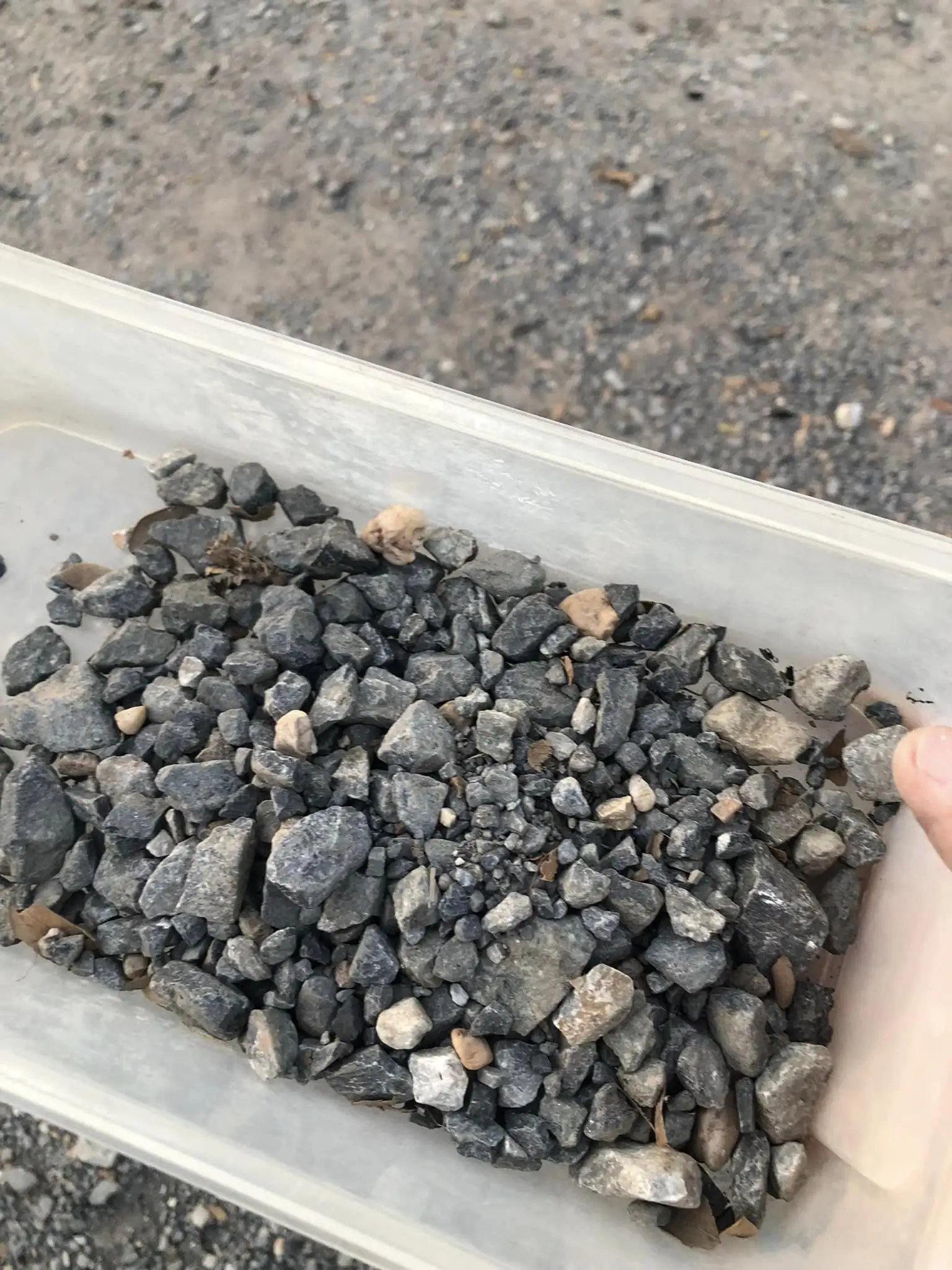 Steps progression KIAC 2022 Rank 11 - Paradiso - Eakthanat Isarathikul / Thailand