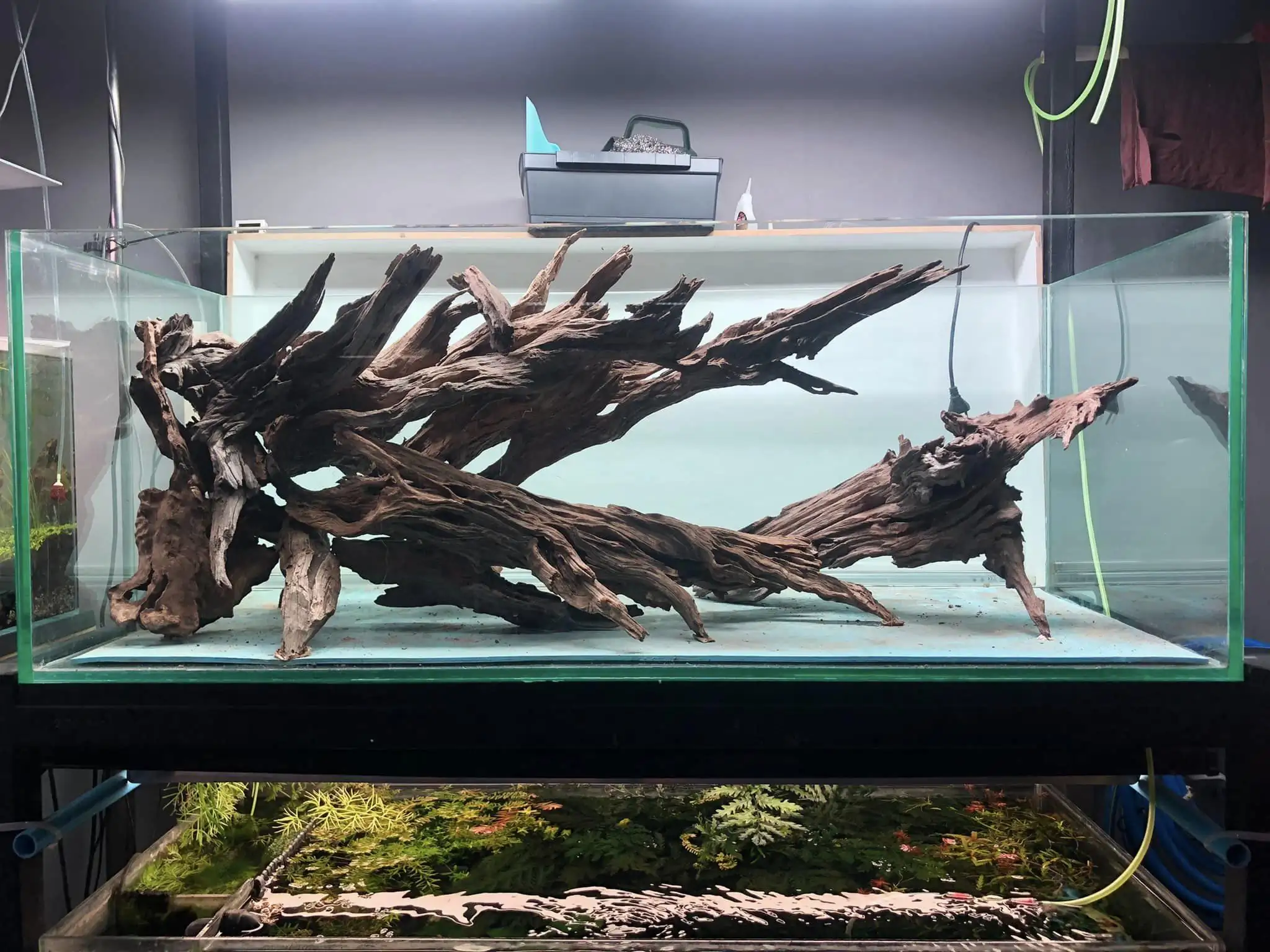 Steps progression KIAC 2022 Rank 11 - Paradiso - Eakthanat Isarathikul / Thailand