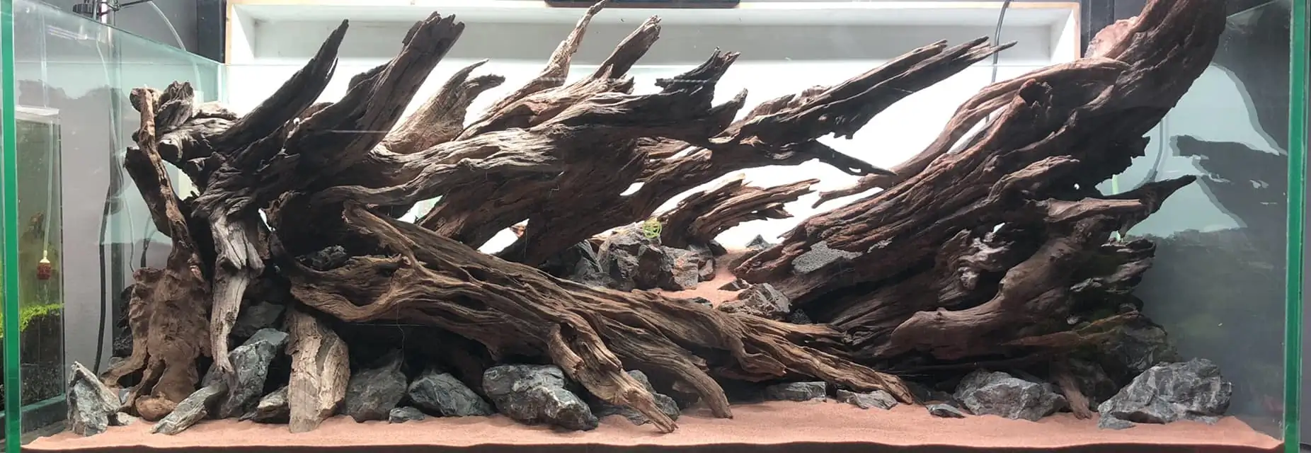 Steps progression KIAC 2022 Rank 11 - Paradiso - Eakthanat Isarathikul / Thailand