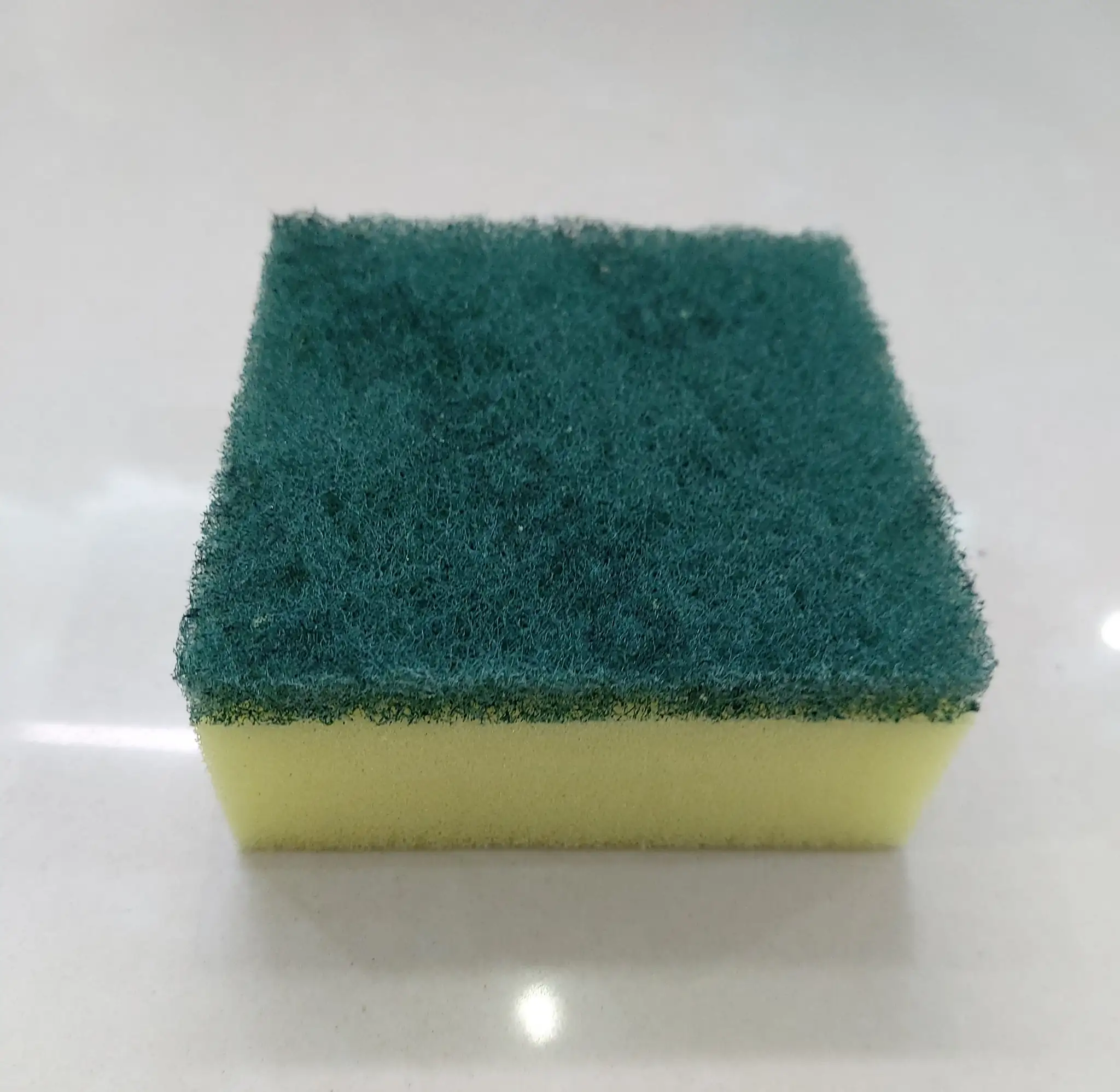 What Essential Aquascaping Toolkit do famous aquascaper Josh Sim use?