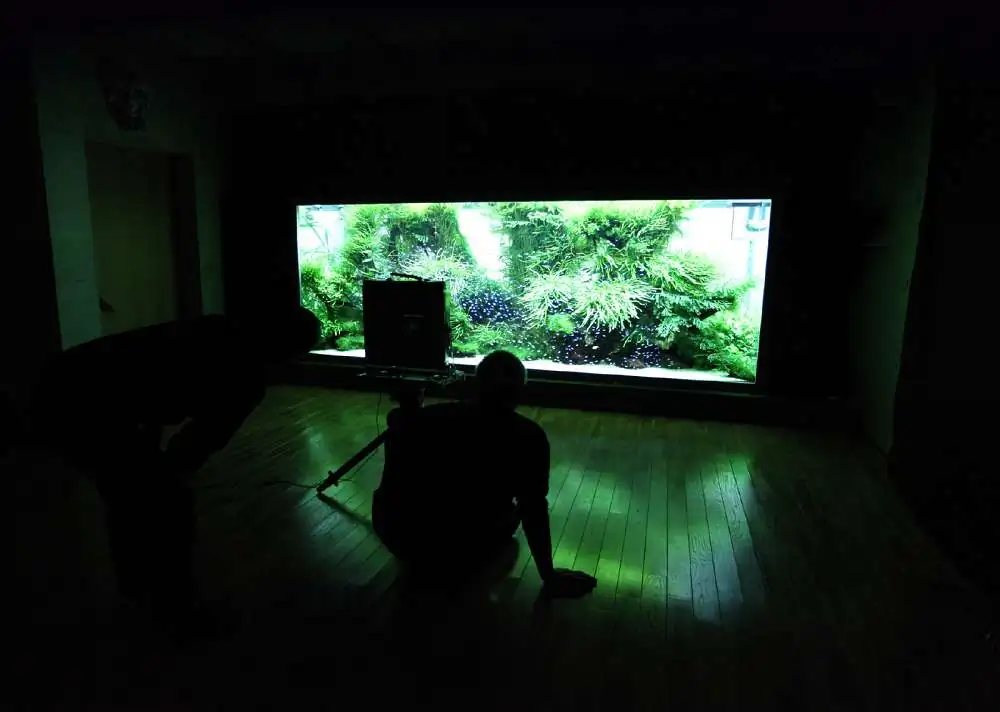 Amano san's history and aquarium tanks Amano san's history and aquarium tanks