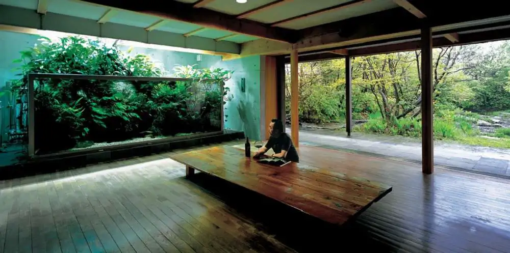Amano san's history and aquarium tanks Amano san's history and aquarium tanks