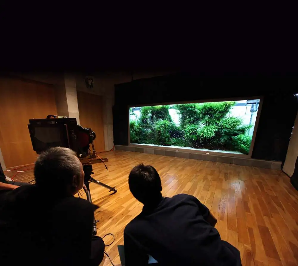 Amano san's history and aquarium tanks Amano san's history and aquarium tanks