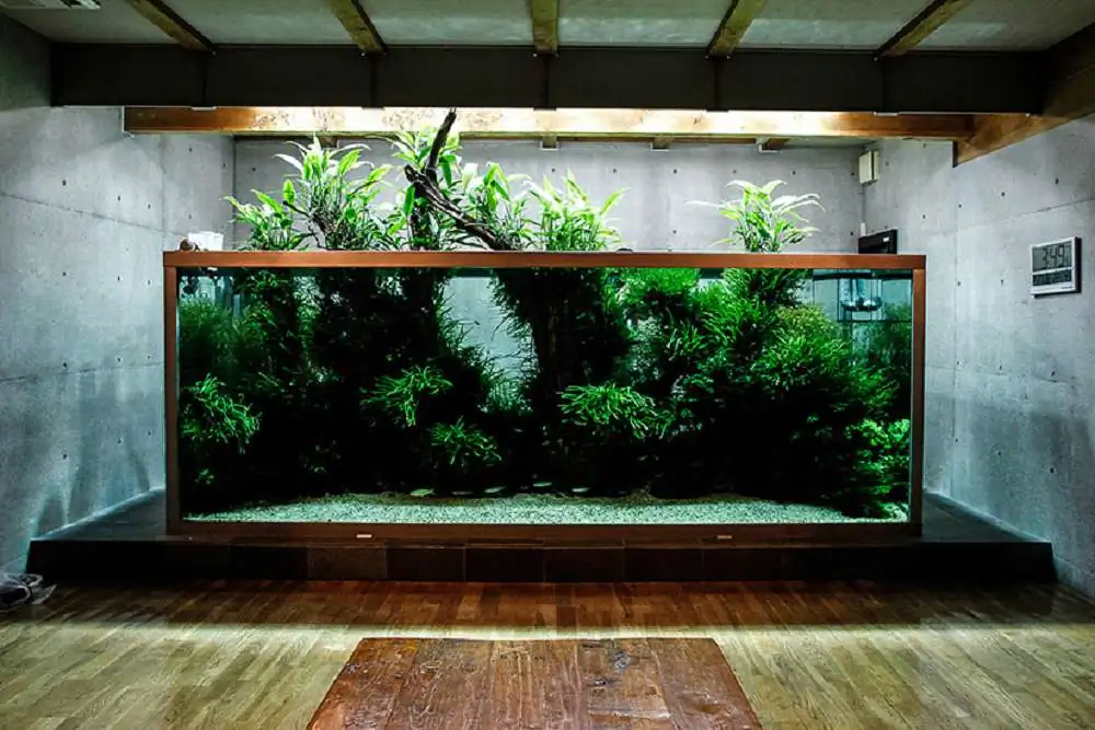Amano san's history and aquarium tanks Amano san's history and aquarium tanks