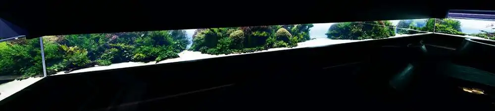 Amano san's history and aquarium tanks Amano san's history and aquarium tanks