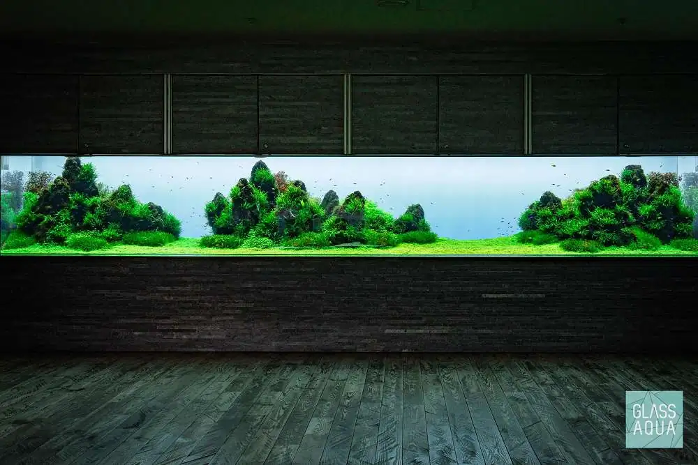 Amano san's history and aquarium tanks Amano san's history and aquarium tanks