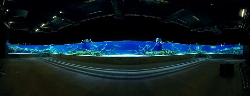 Amano san's history and aquarium tanks Amano san's history and aquarium tanks