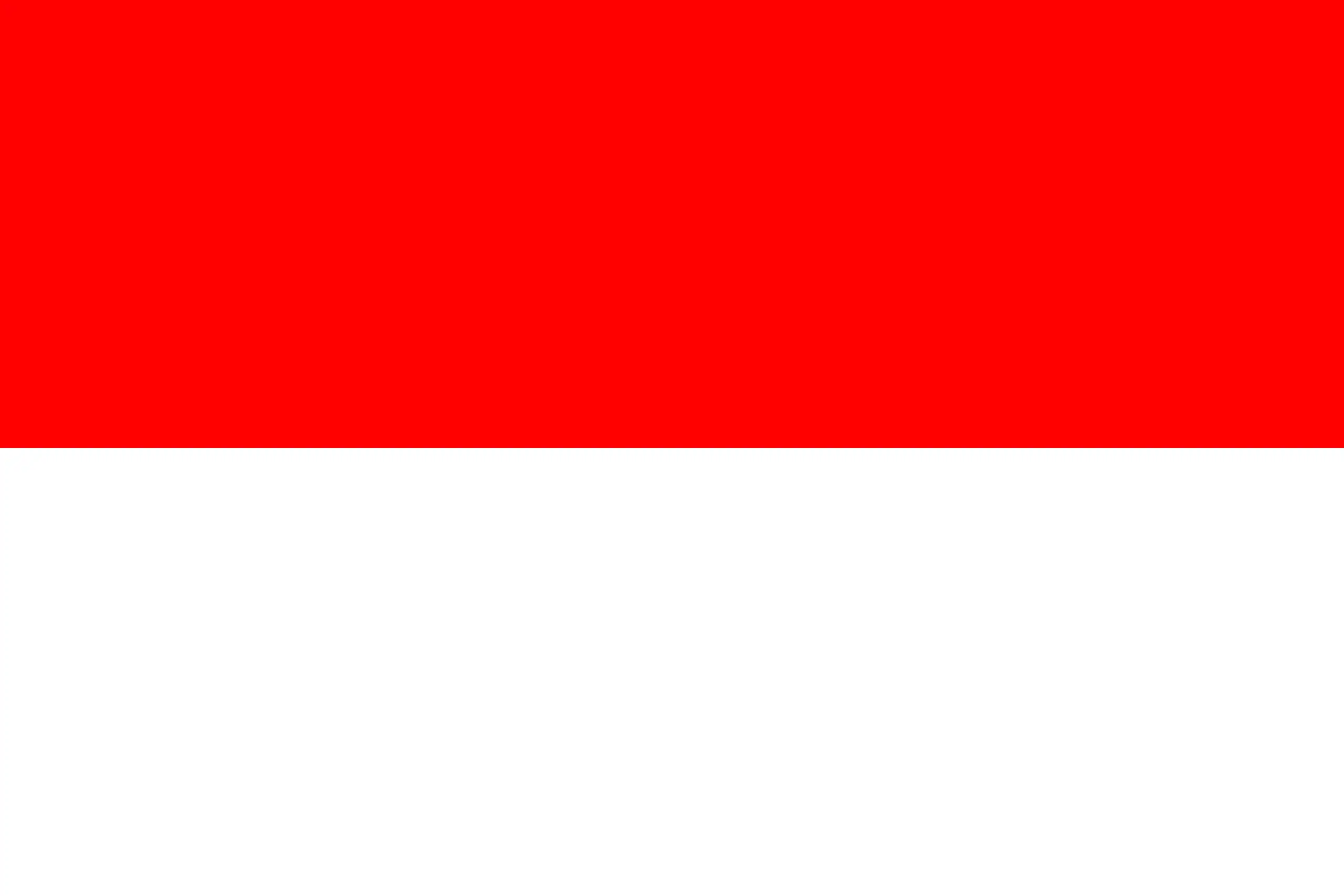 Introduction about Indonesia Aquascaping