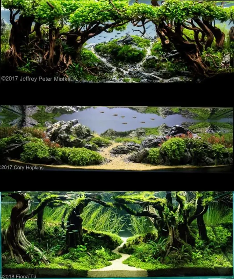 Introduction about USA Aquascaping 
